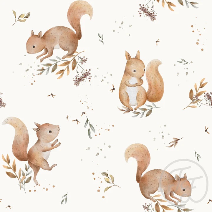OD- Squirrels ivory