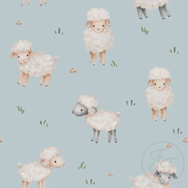 OD- Sheep baby blue