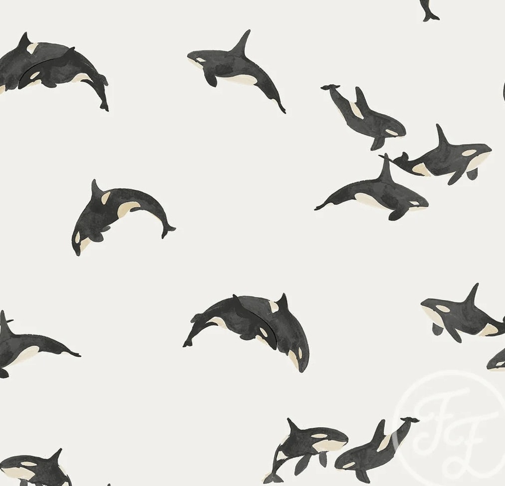 Poplin orca