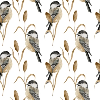 OD- Chickadee White