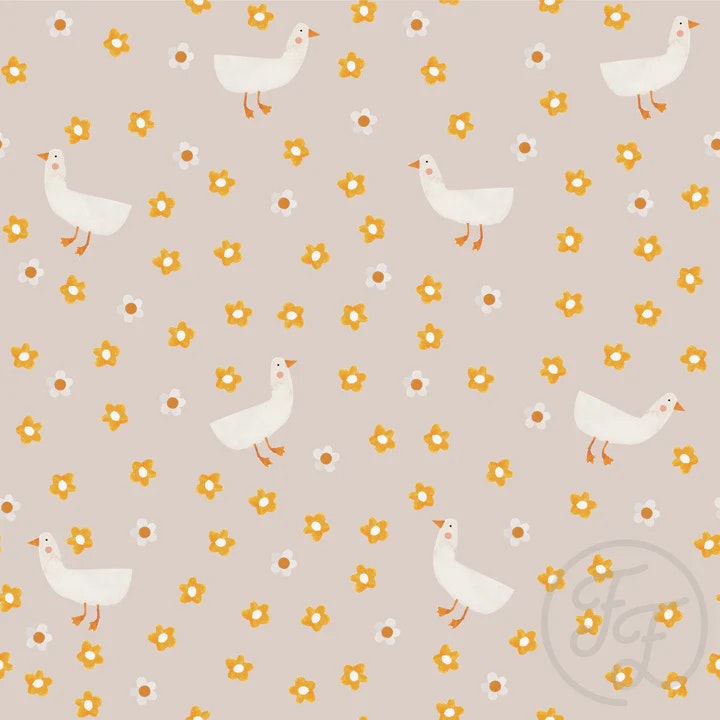 OD- Path Geese