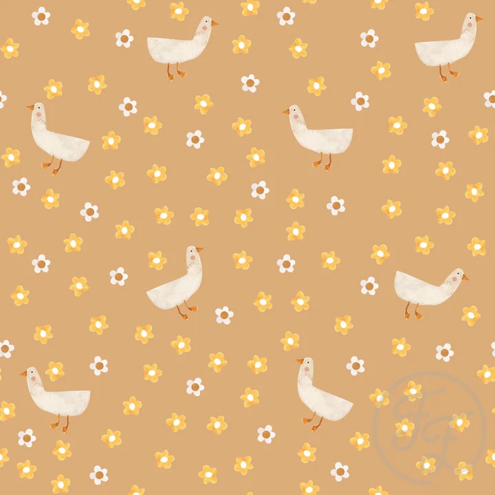 OD- Sunny Geese