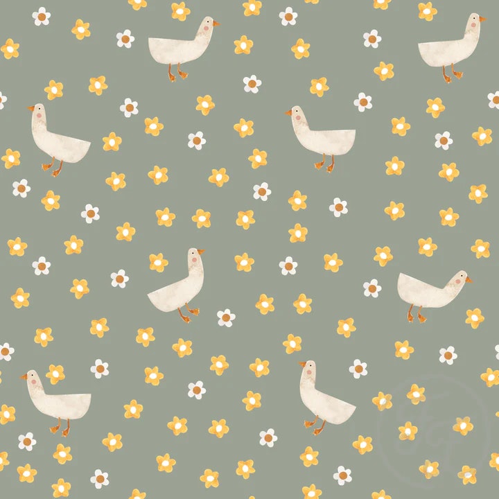 OD- Meadow Geese
