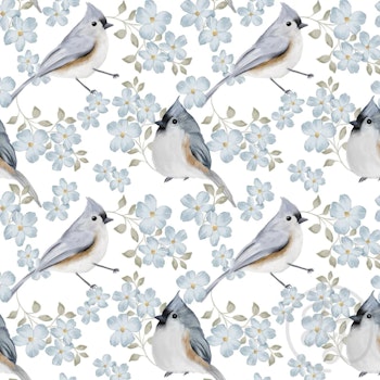 OD- Flowery Titmouse White