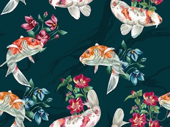 OD- Koi Garden