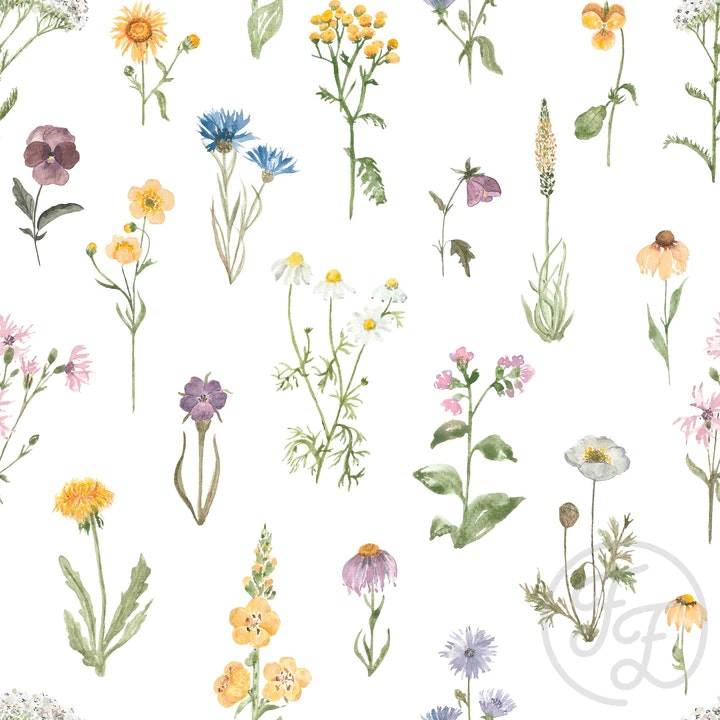 OD- Alpine Flowers