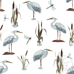 OD- Blue Herons