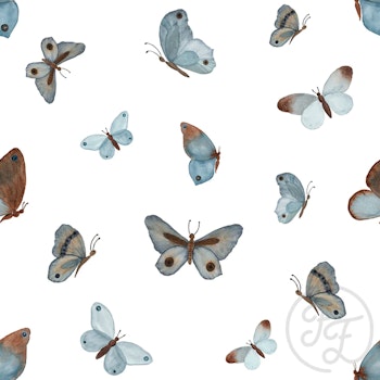 OD- Azure Butterflies