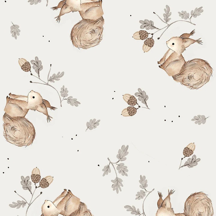 OD- Noes Squirrels