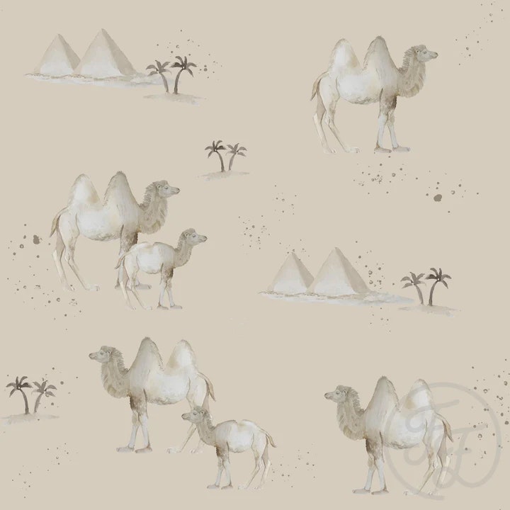 OD- Camel Beige