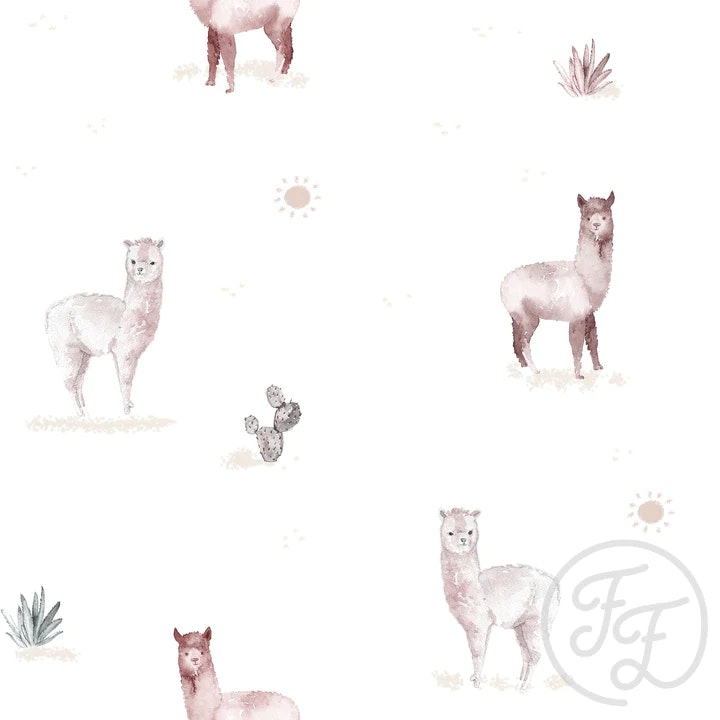 OD- Little Lama