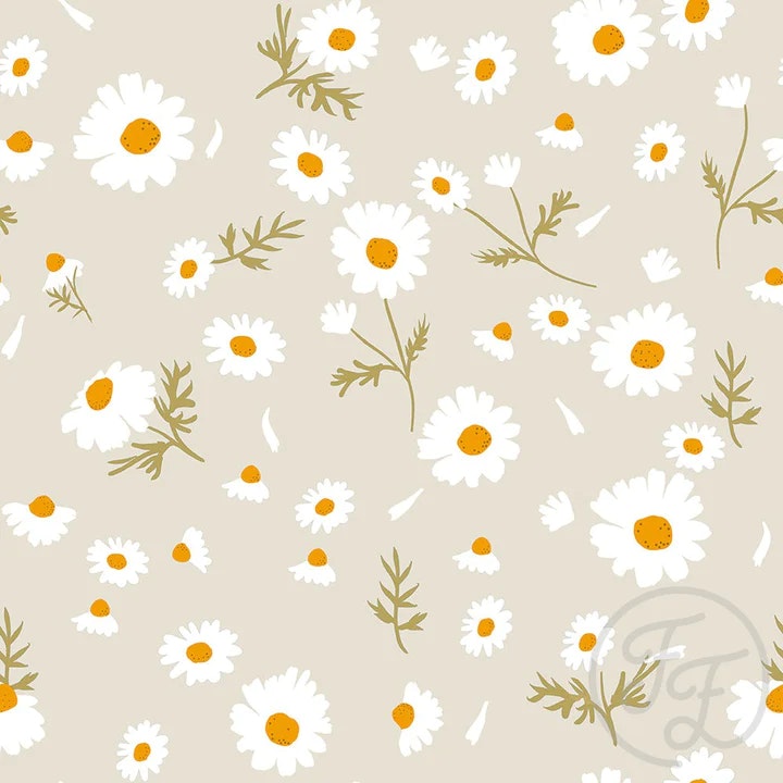 OD- Pearl Daisy