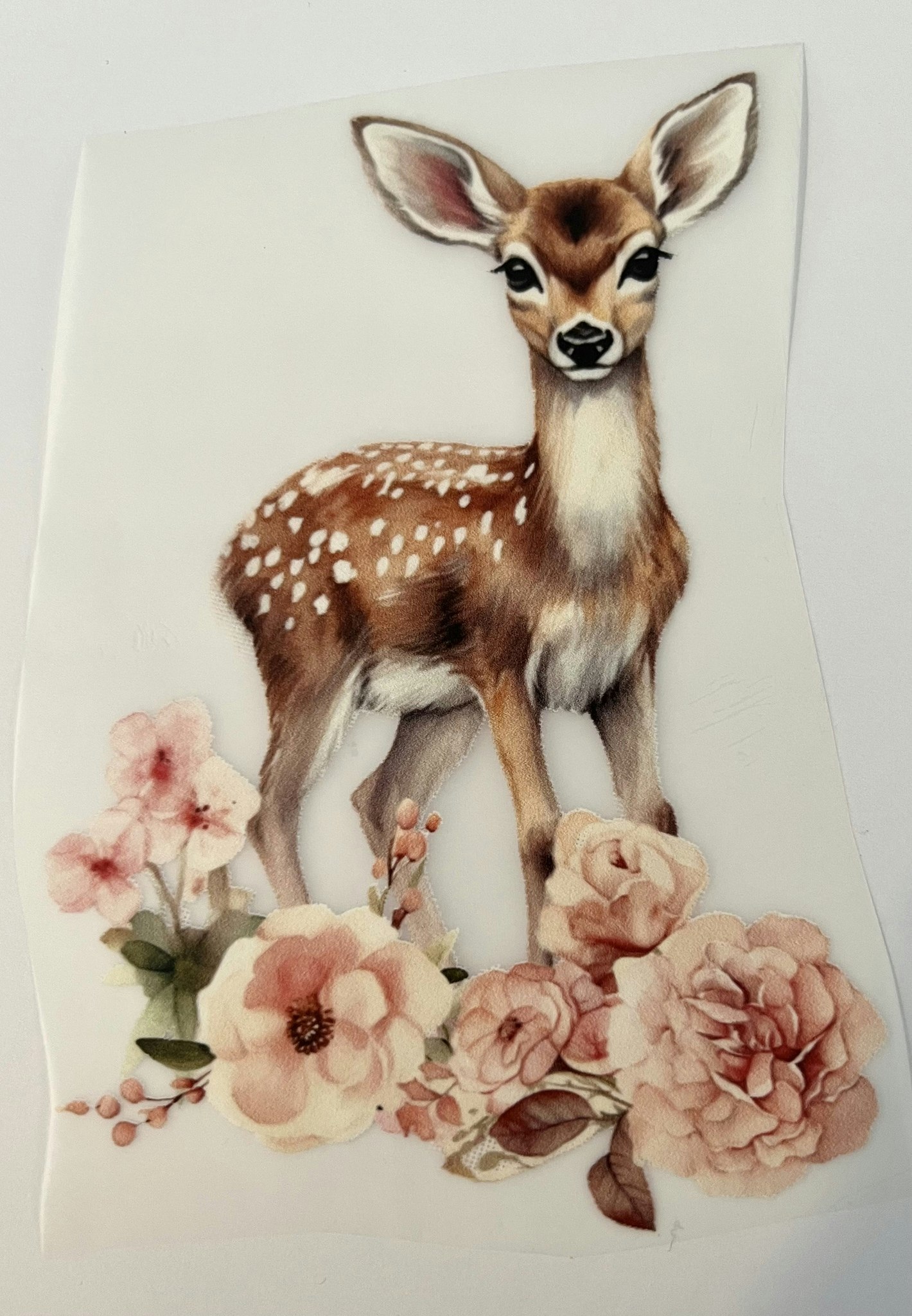Strykemerke hjort i blomstereng stor