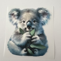 SM koala med eucalyptus