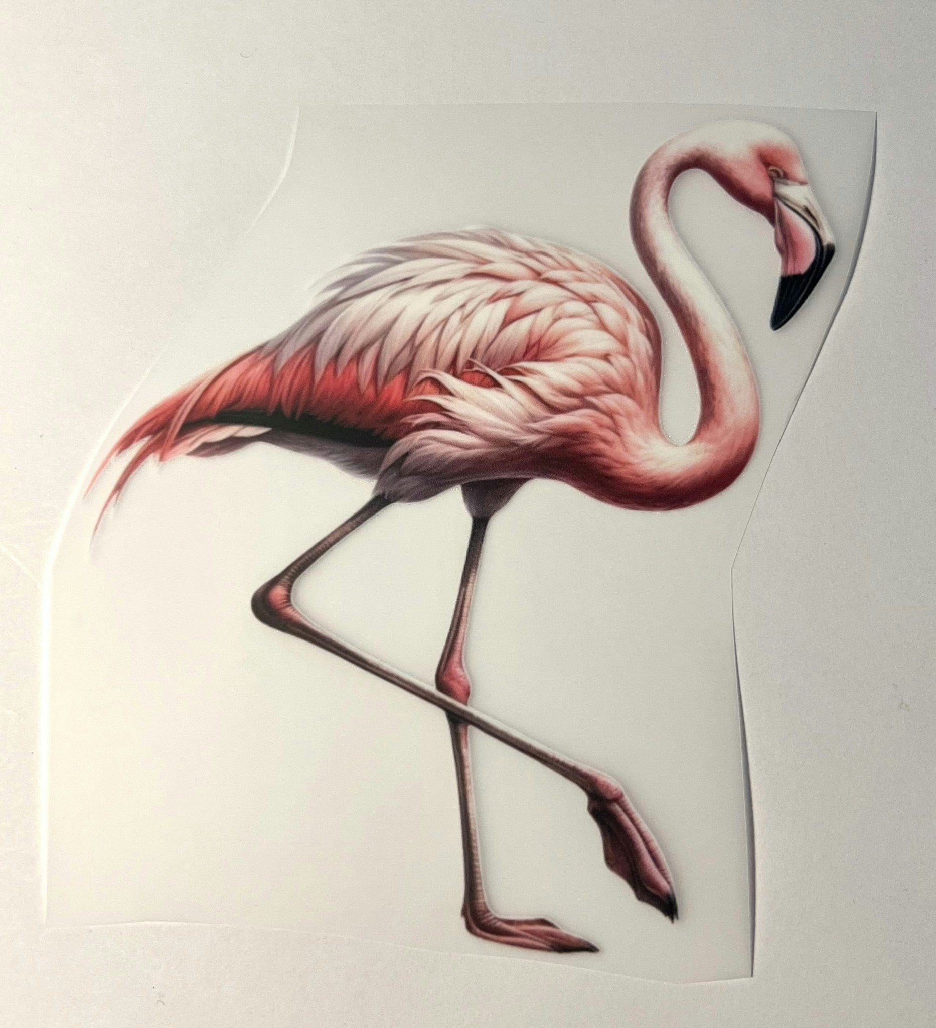 SM flamingo stor
