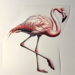 SM flamingo