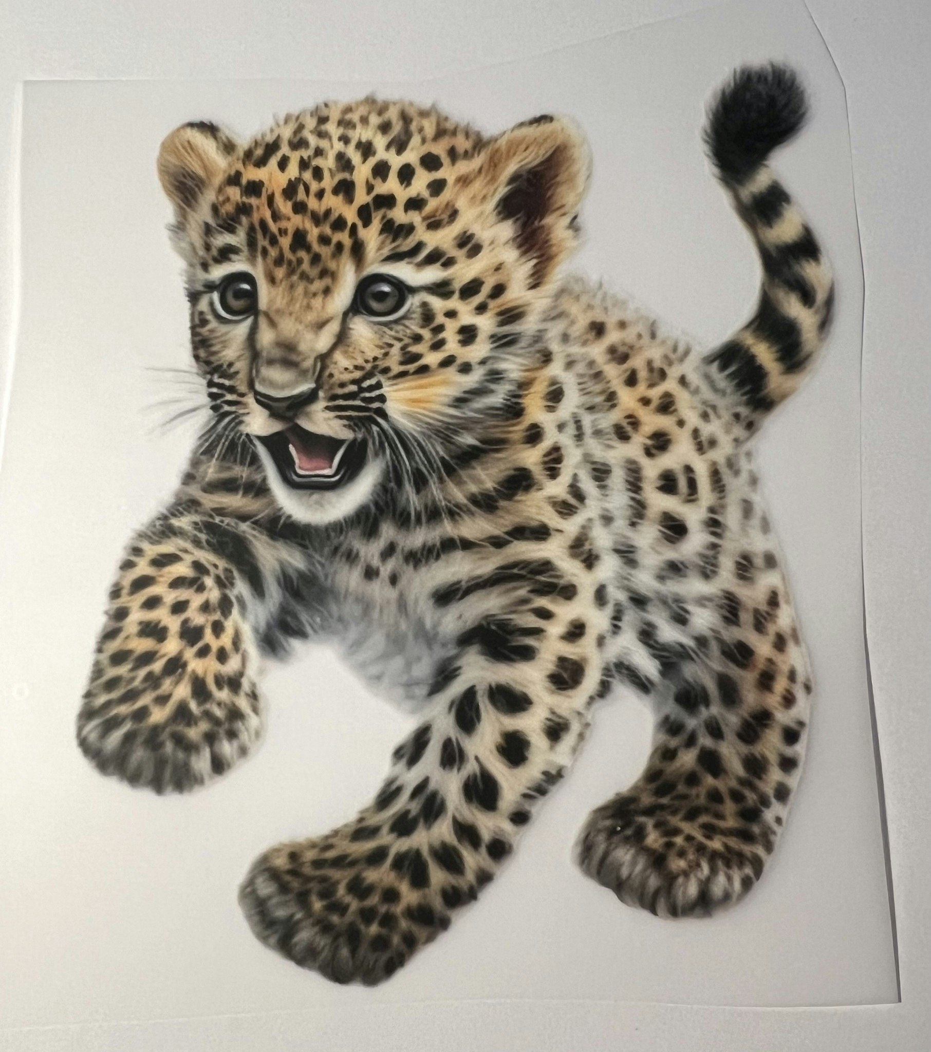 SM løpende leopardunge