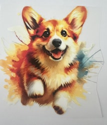 SM corgi hund