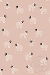 OD- Moutons Rose