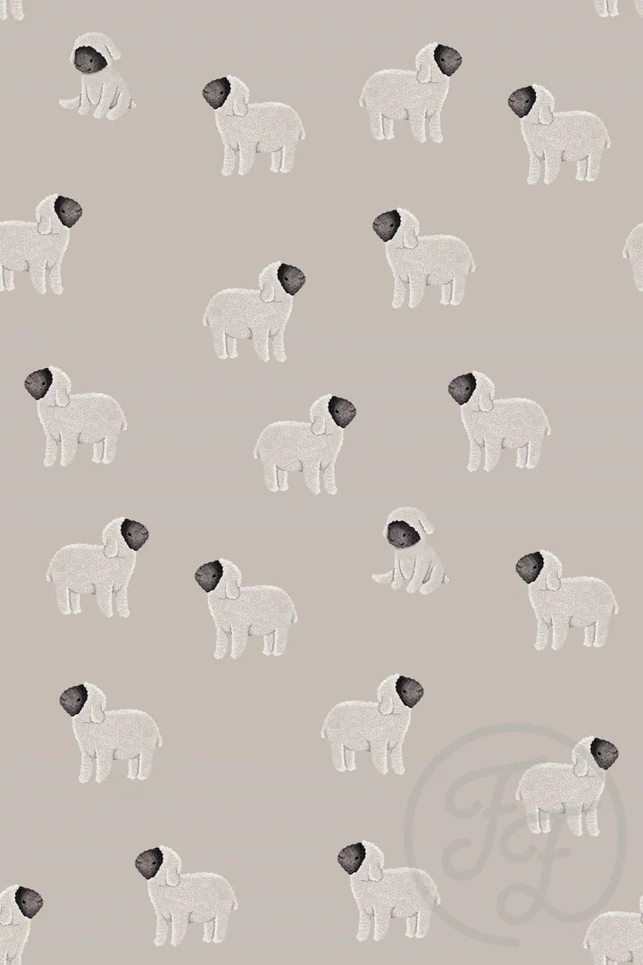OD- Moutons Gray