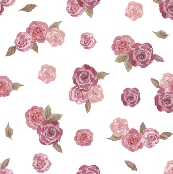 Pink roses pointelle