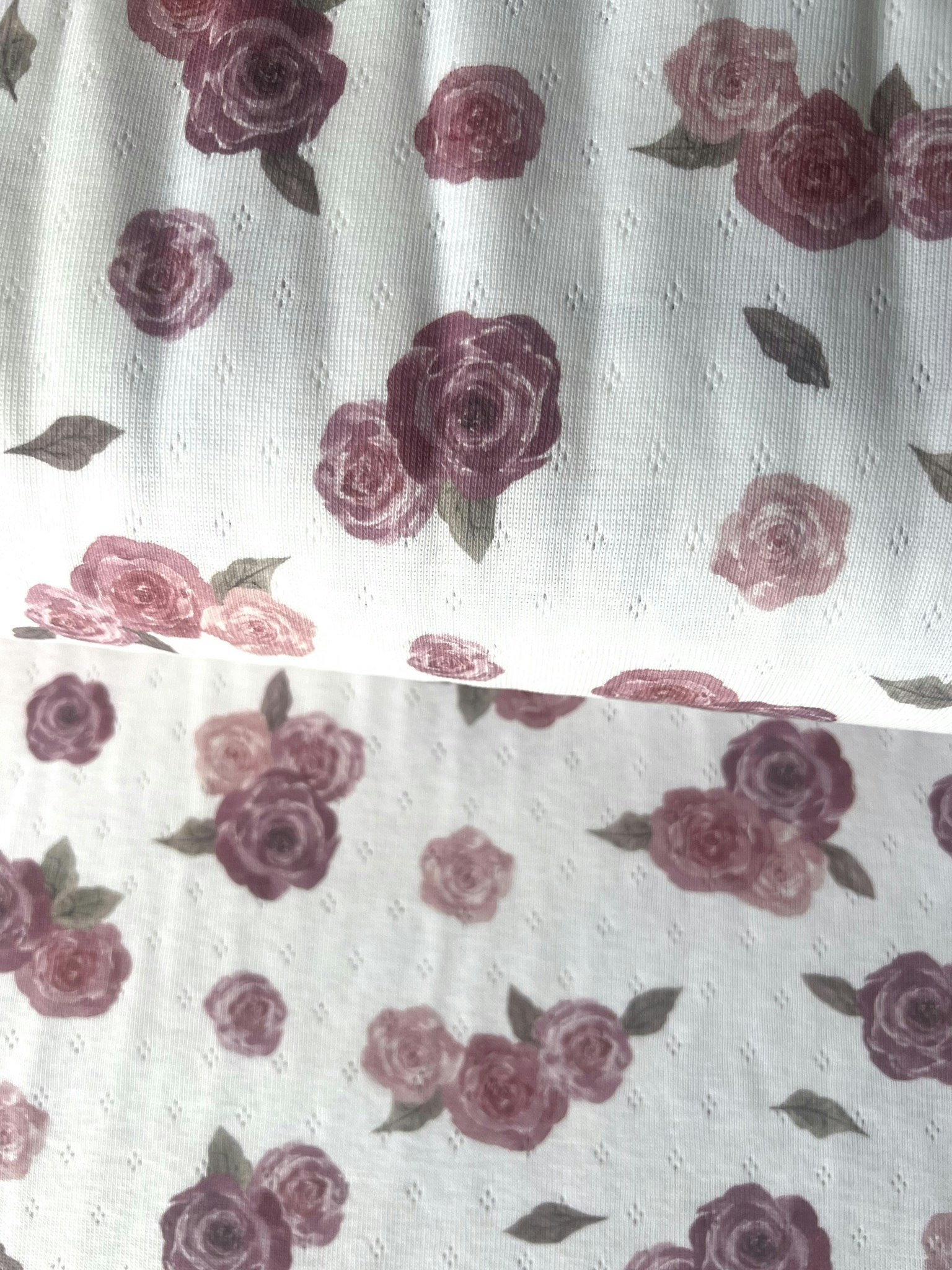 Pink roses pointelle