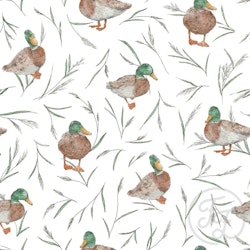 OD- Walking Ducks
