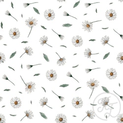 OD- Daisy Field