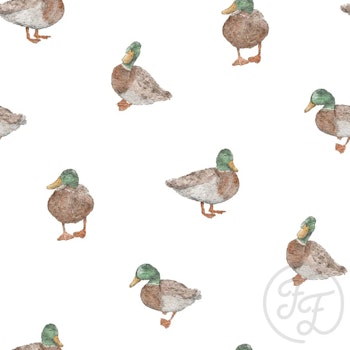 OD- Cute Ducks