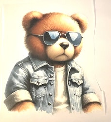 SM my teddy is too cool stor