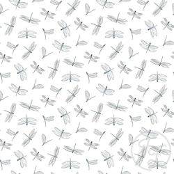 Dragonflies Insects
