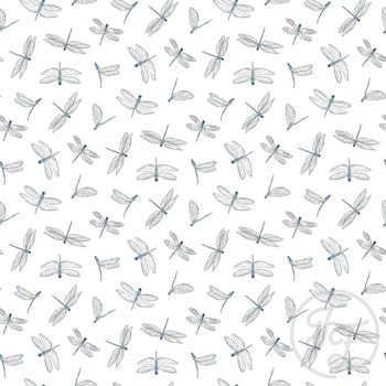 Dragonflies Insects