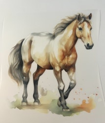 Lys hest DTF