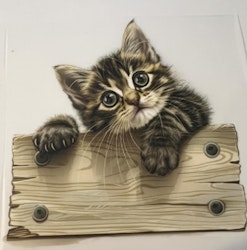 Kattunge bak planke 1 DTF