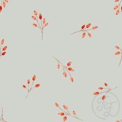 OD- Rosehips Sage