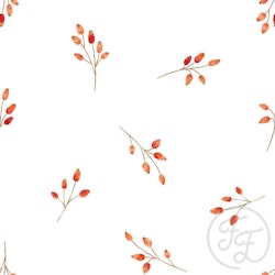 OD- Rosehips White
