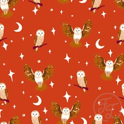 OD- Owls in Sinopia