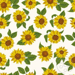 OD- Sunflower Field in White