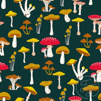 OD- Mushrooms in Gable Green