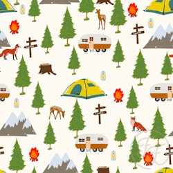 OD- Camping in White