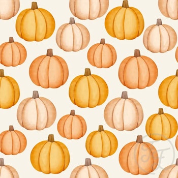 OD- Pumpkin Ecru Mini