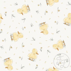 OD- Cute Ducklings