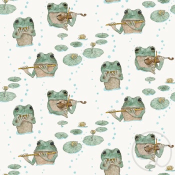 OD- Frog Music Instruments