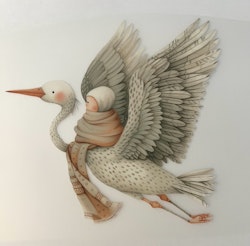Stork m baby nr 3 DTF