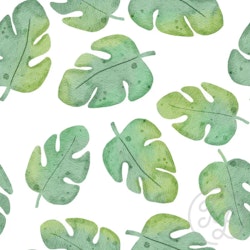 OD- Safari Monstera Small
