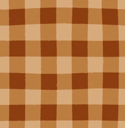 OD- Fall Gingham Orange Small