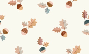 OD- Colorful Acorns Small