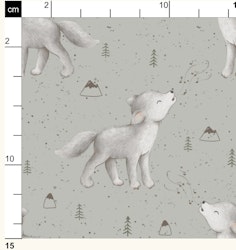 OD- Little Wolf Sage