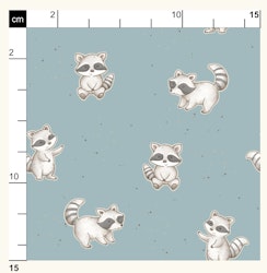 OD- Raccoons Turquoise
