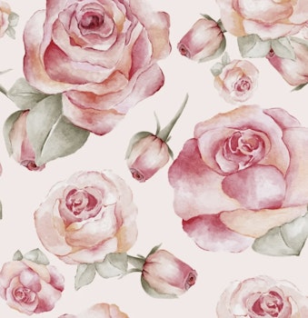Pink roses cream jersey